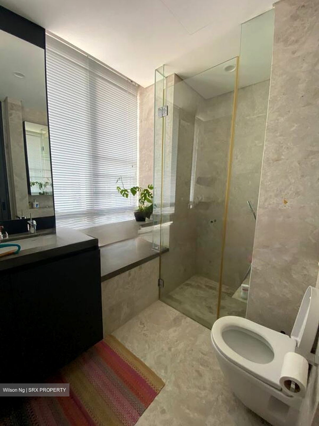 Skysuites@Anson (D2), Apartment #466628071